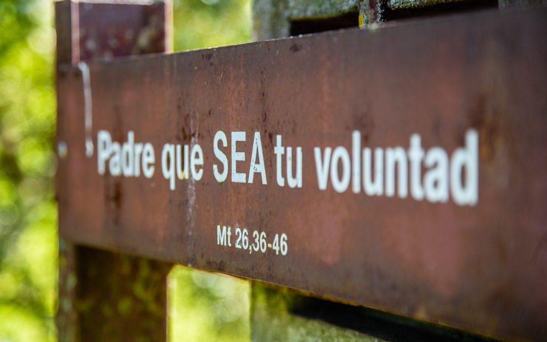 Conocer la voluntad de Dios, y vivirla cada día